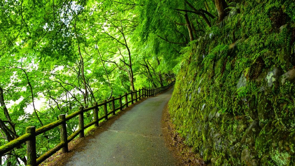 Kyoto Nature Trail in Arashiyama
