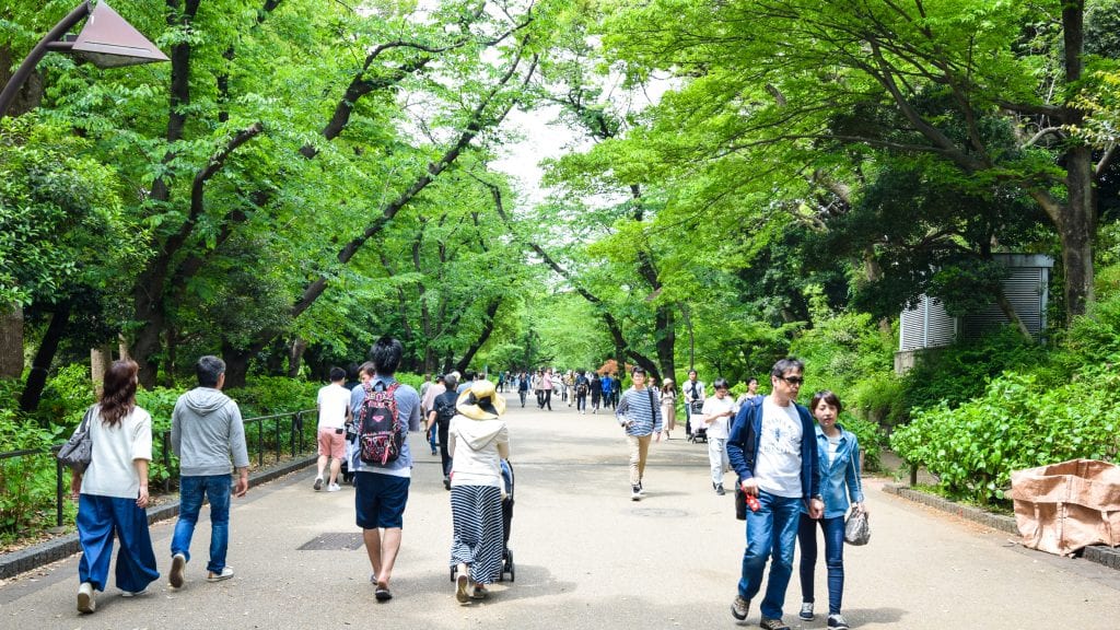 Ueno Park - 4 days Tokyo Itinerary