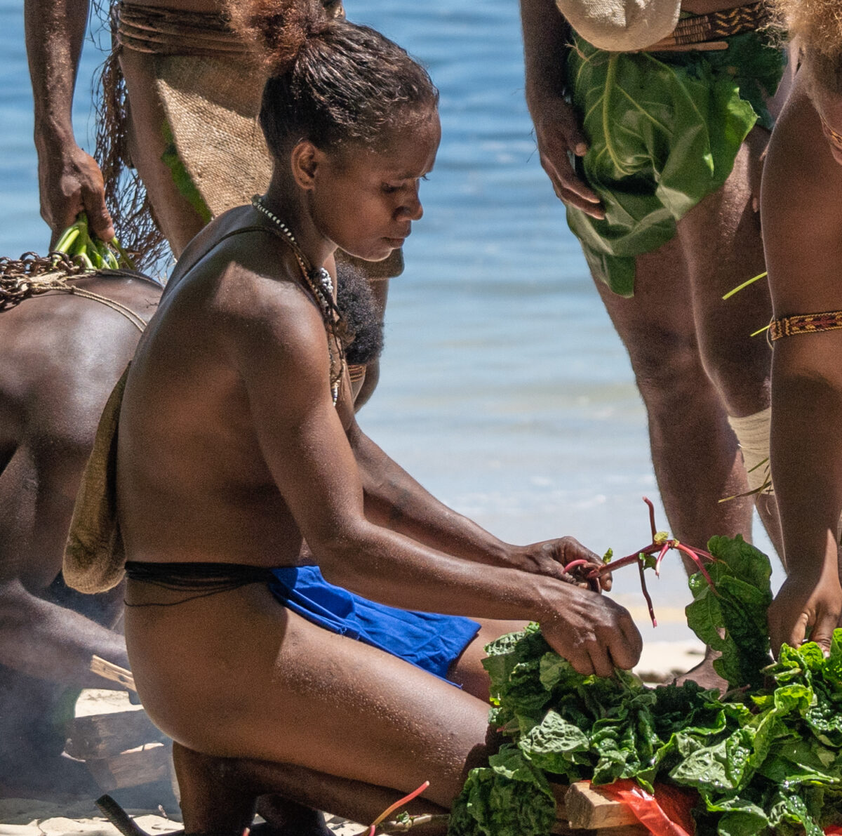 Kwaio Tribe Solomon Islands