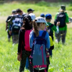 Children-Outdoors-Guided-Walk