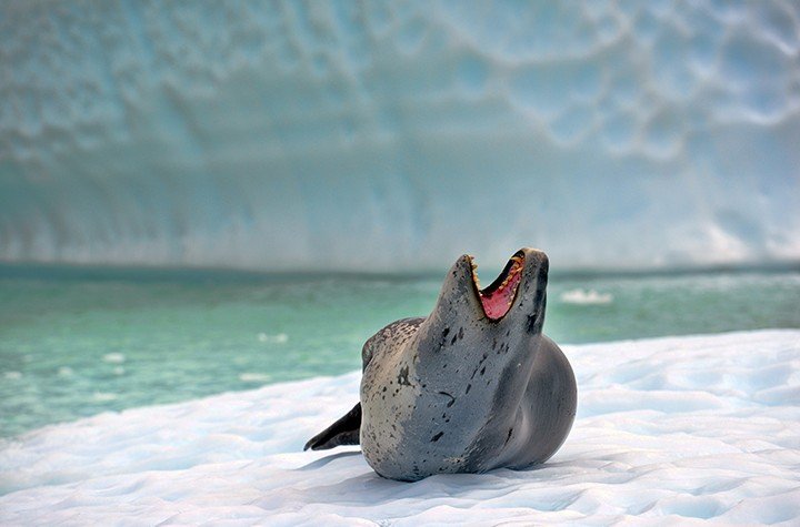 Michelle Valberg's photo