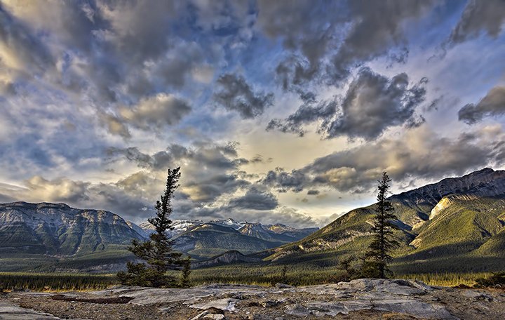 Michelle Valberg's photo