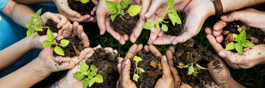 People,Hands,Cupping,Plant,Nurture,Environmental