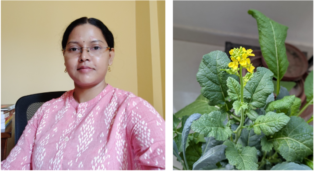 Enchanters Newsletter, March 2026