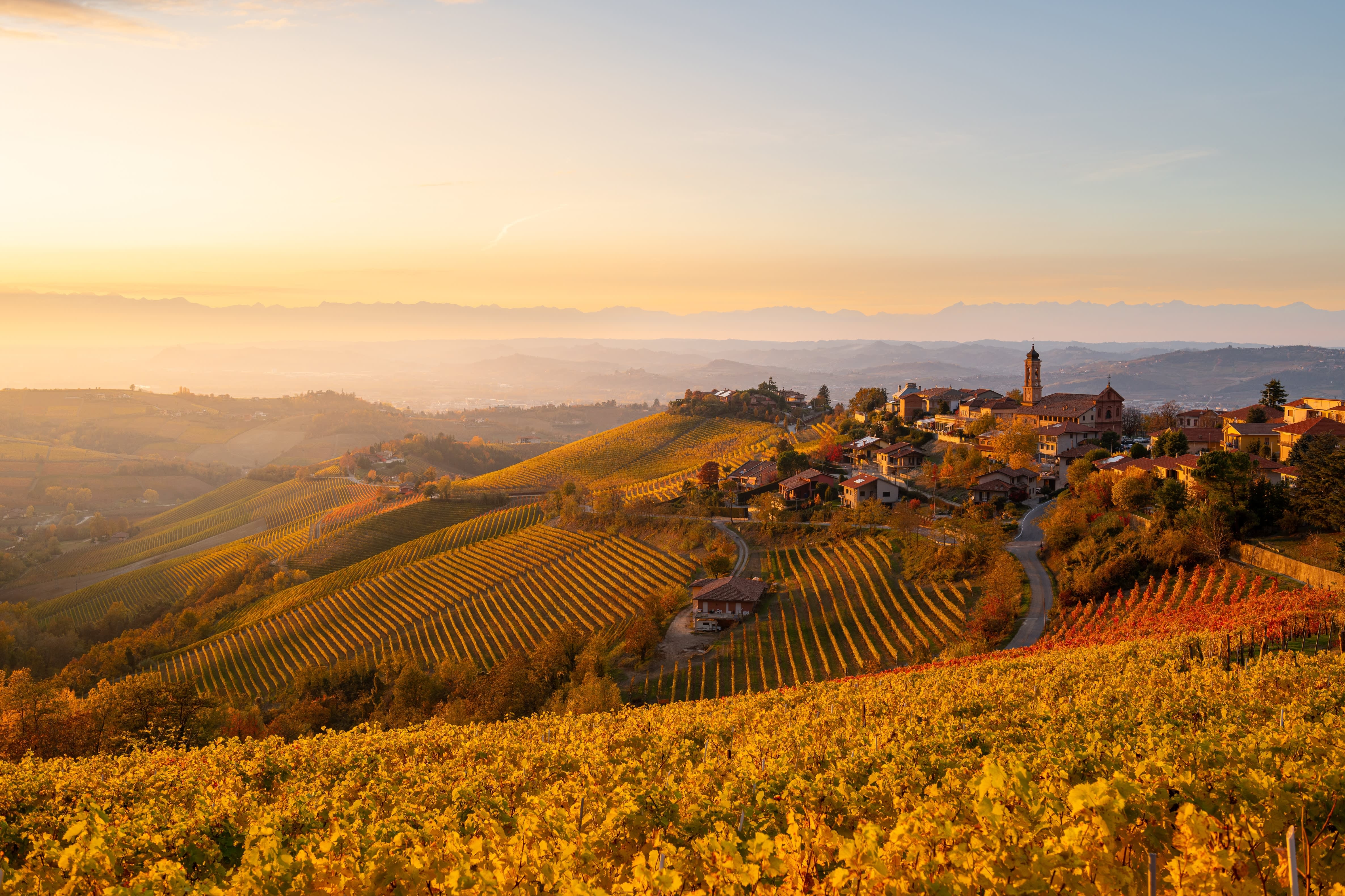 View of Treiso in Autumn, Langhe, Piedmont, Italy
