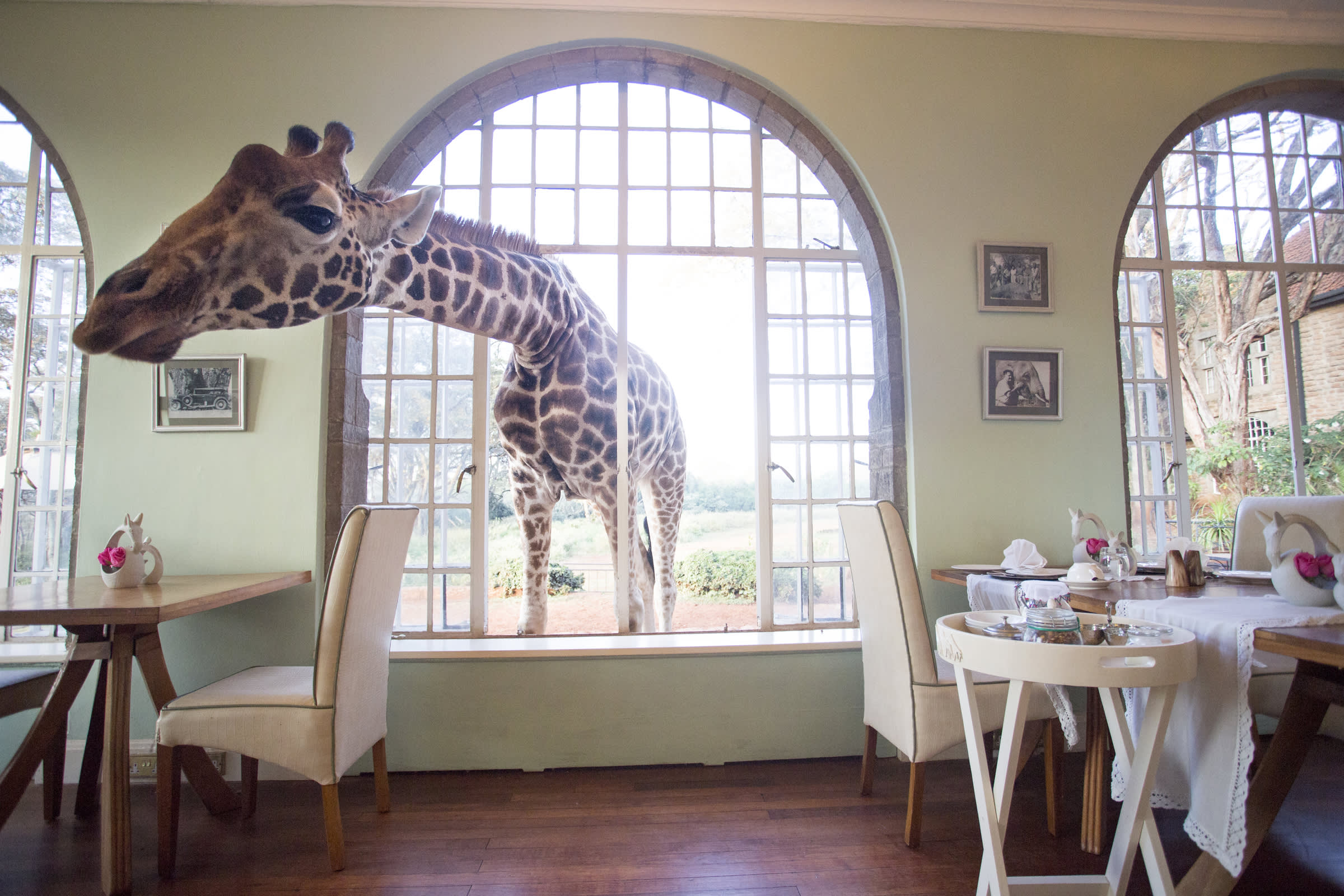 The Top 6 Reason to Visit Kenya