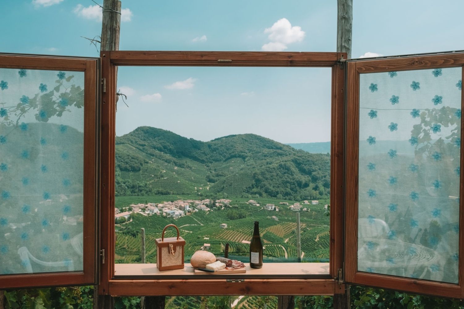 Prosecco region in Italy