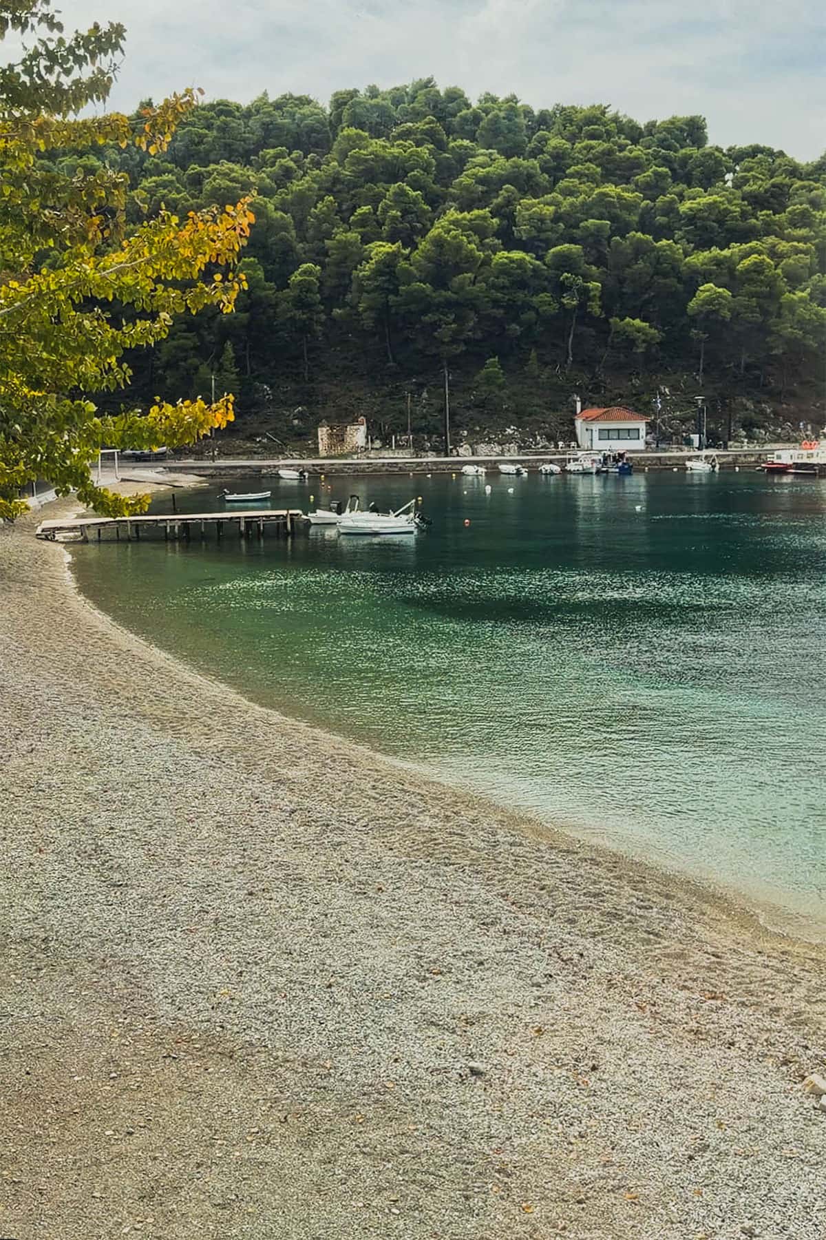 agnontas beach skopelos