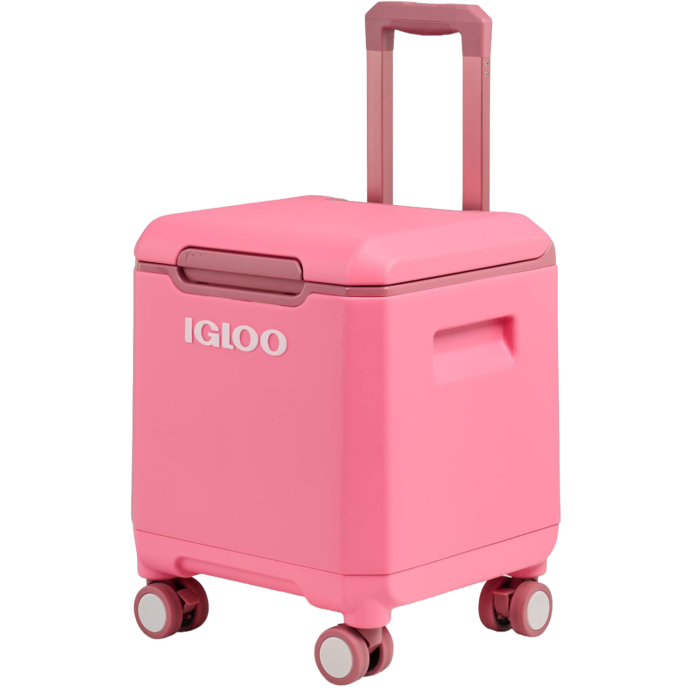 igloo tag roller pink cute cooler