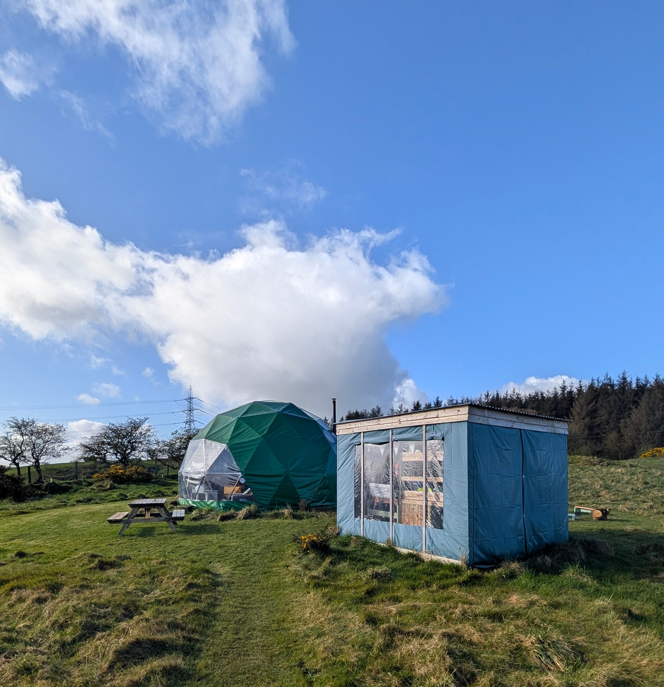 Pant Y Rhedyn Glamping Review North Wales