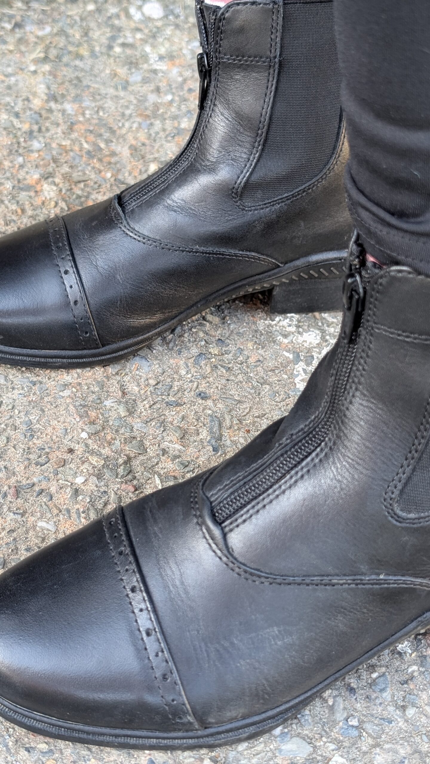 Brogini Tivoli Leather Paddock Boots