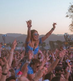 Coachella Music Festival