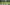 Bryant-Park-nyc-190609211612002