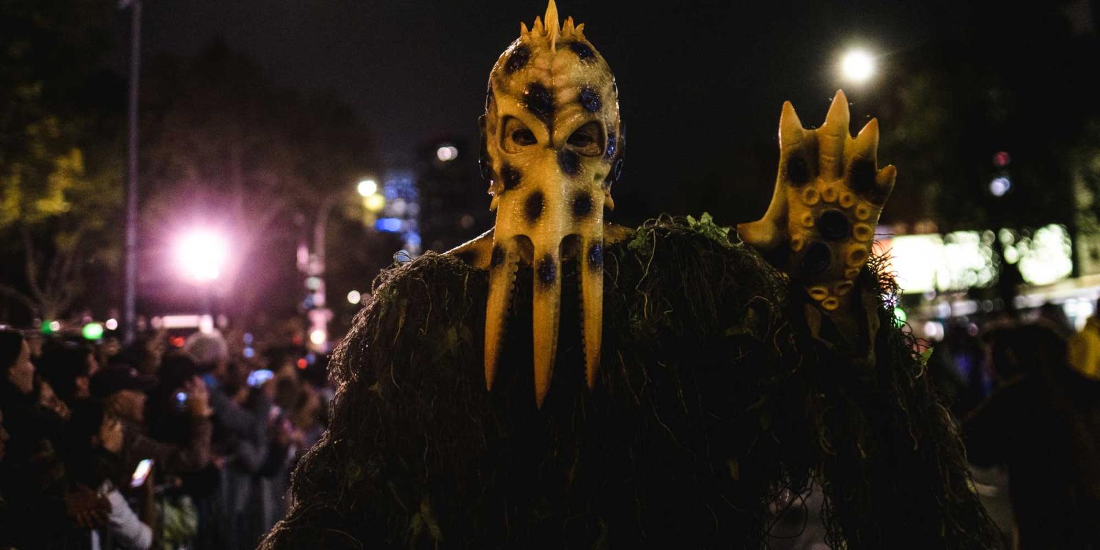 person dressed in costume during the parade