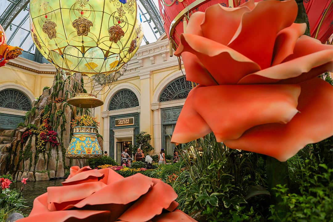 bellagio conservatory schedule 2024