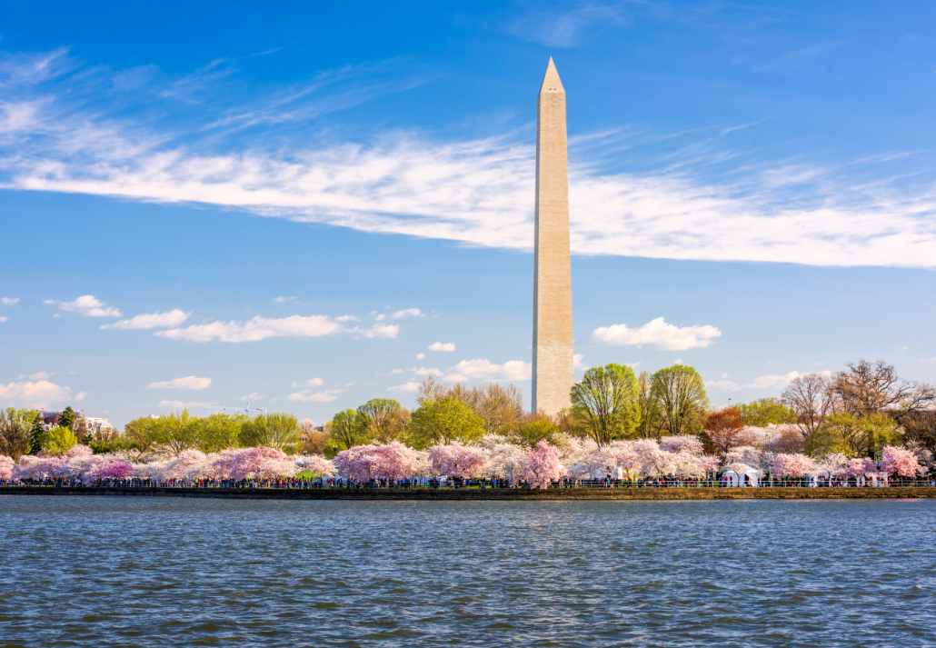 secret-spring-bloom-spots-DC-locals-love.png