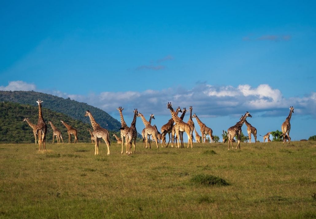 How to make your friends jealous - In Kenya