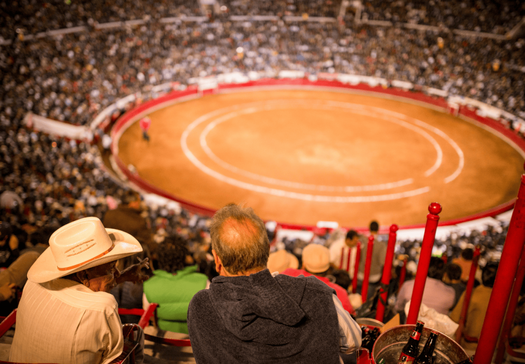  Spectators gazing at a bullfighting arena from the stands