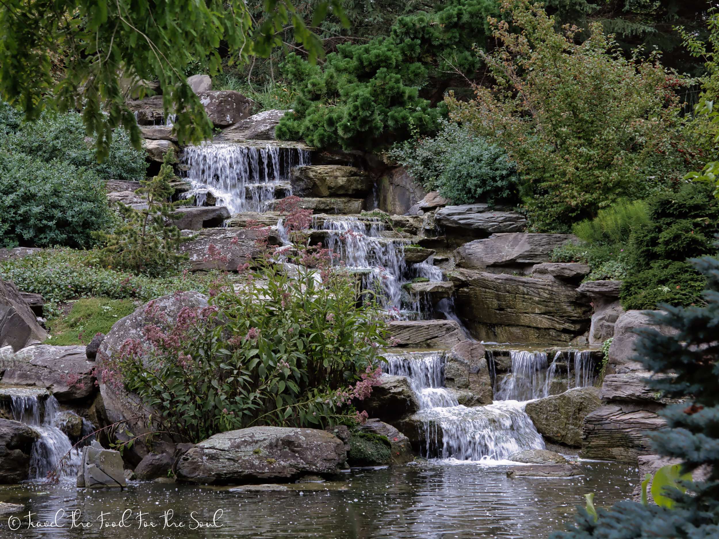 Planning Your Trip To Frederik Meijer Gardens Sculpture Park