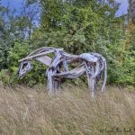 The Ultimate Guide To Frederik Meijer Gardens and Sculpture Park