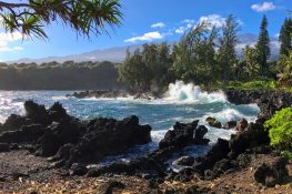 The Ultimate Guide To Road To Hana