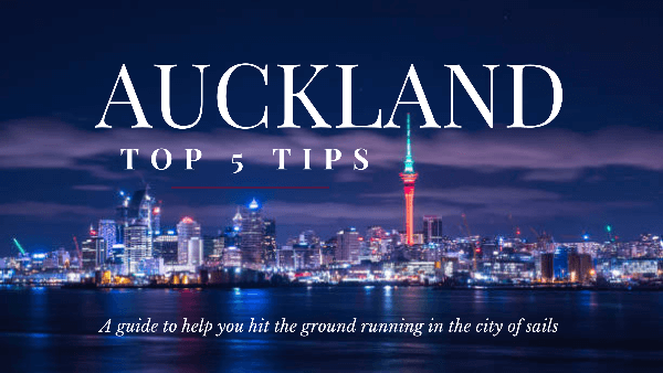 Auckland by night, Top 5 Tips Guide