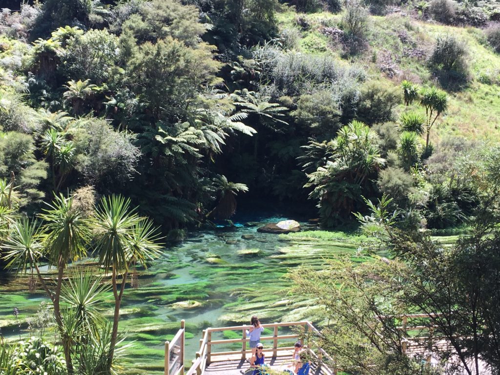 blue spring photo new Zealand 