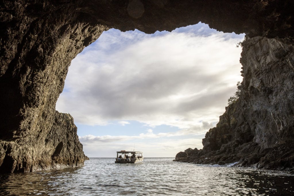 goat island caves off the coast of leigh