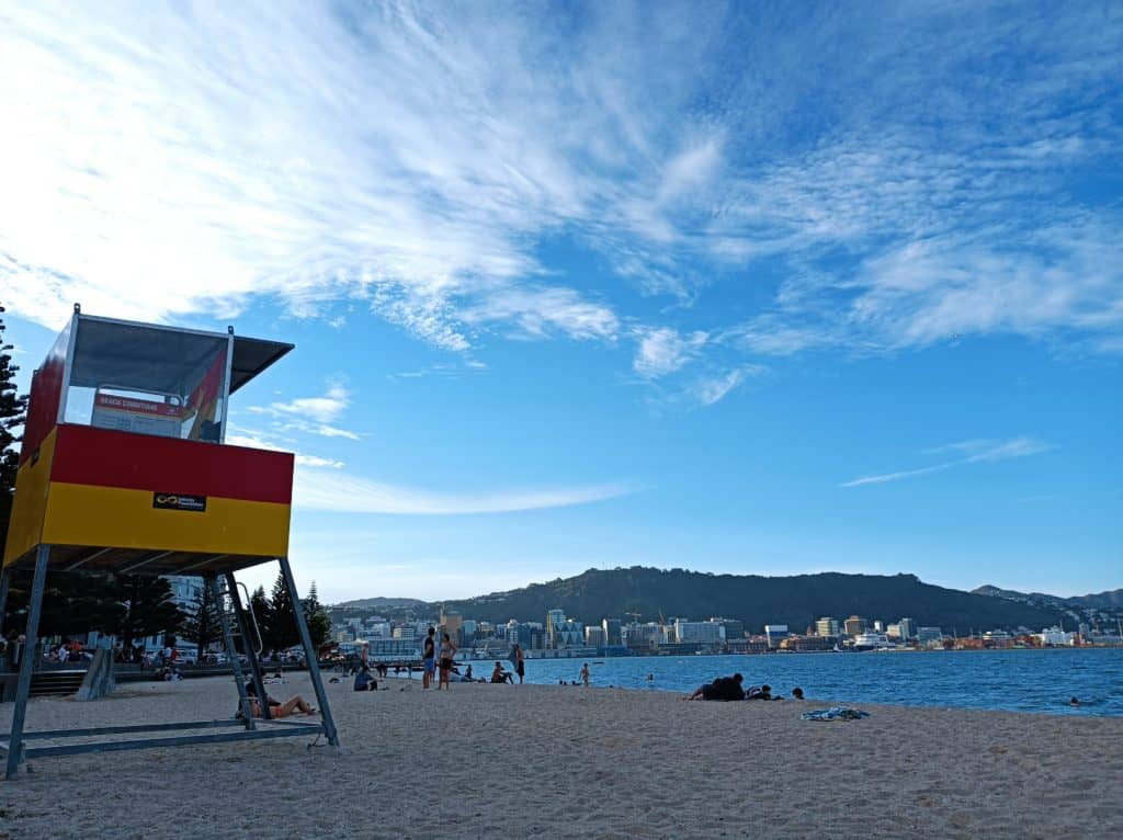 oriental bay beach wellington highlights