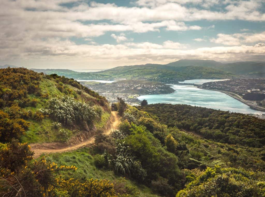 walking track on Porirua wellington day trip