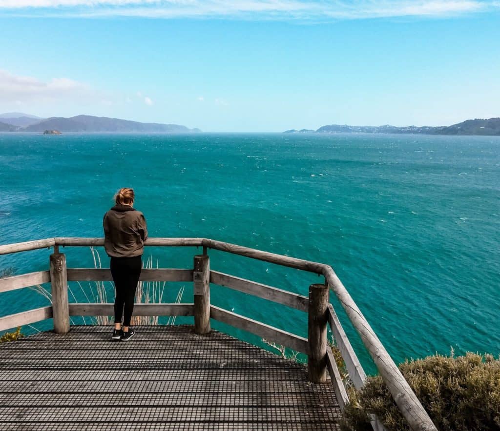 lookout track on Somes Island