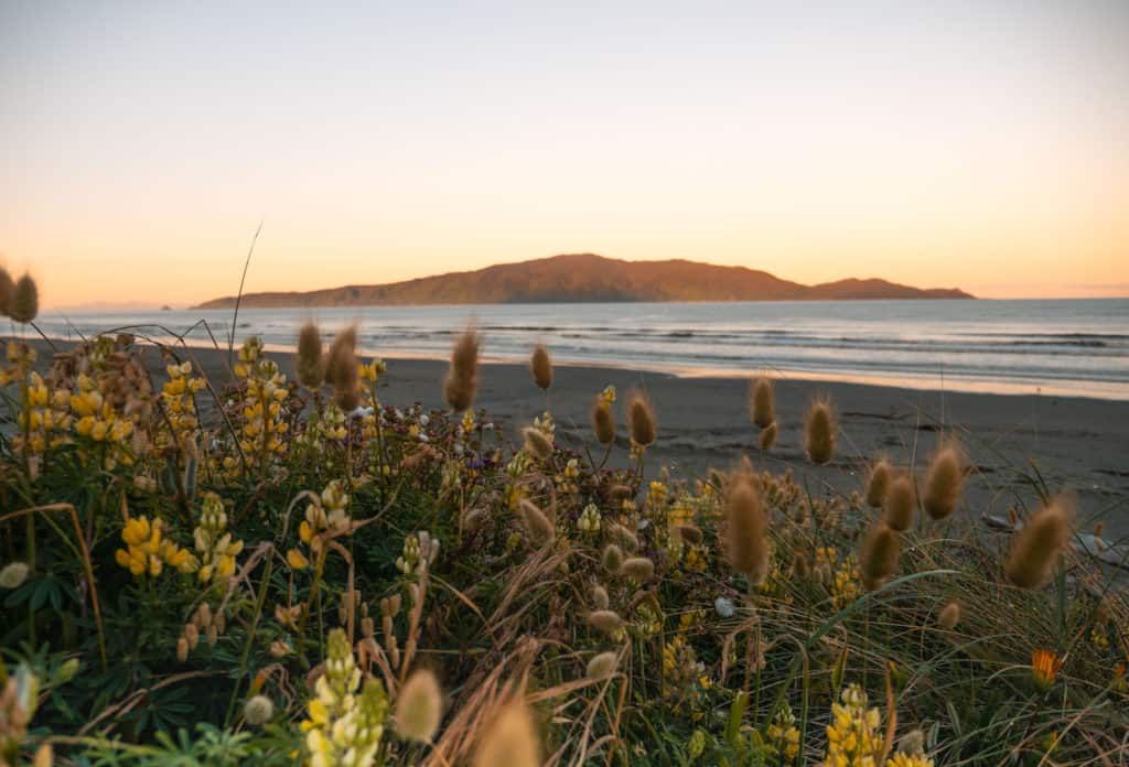 Paraparaumu Beach