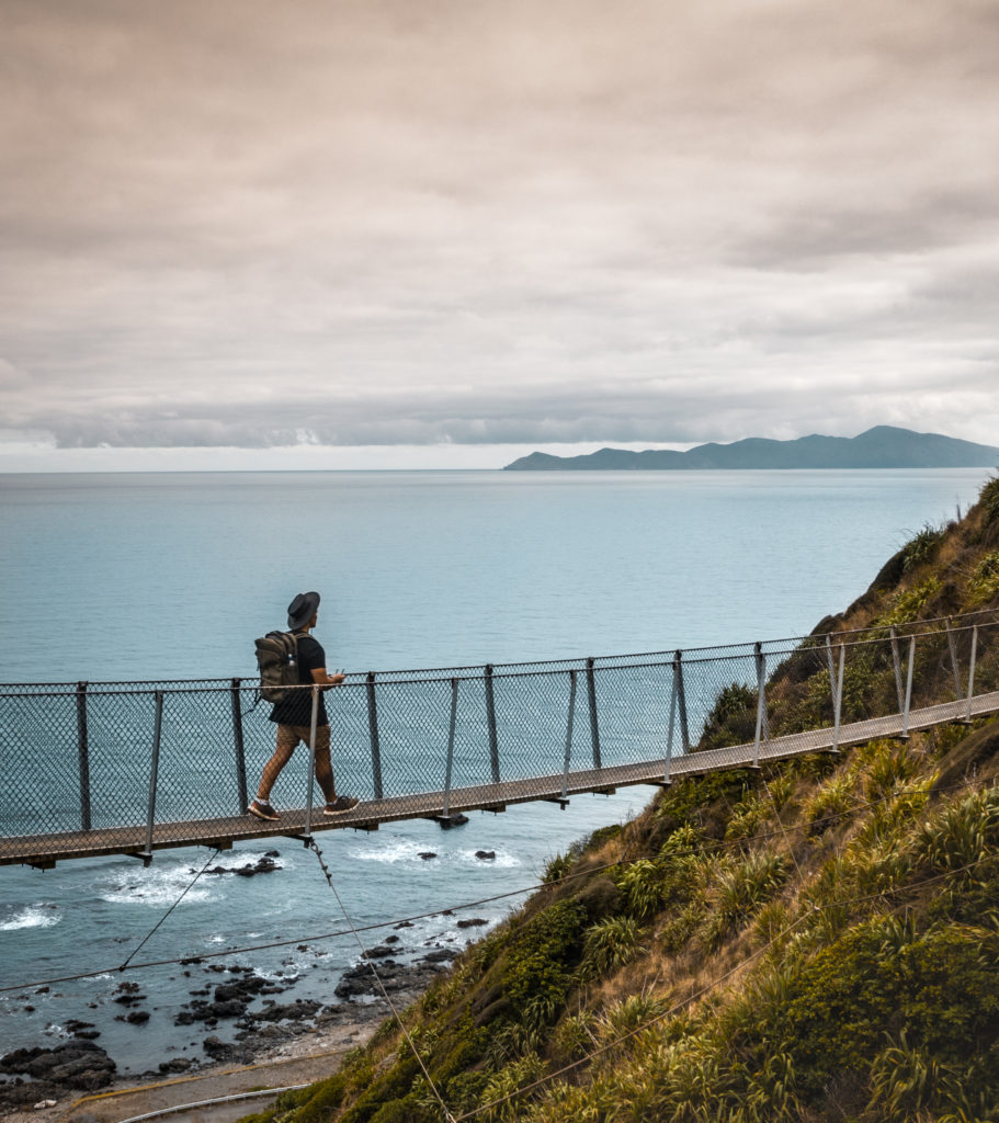 escarpment track Paekakariki