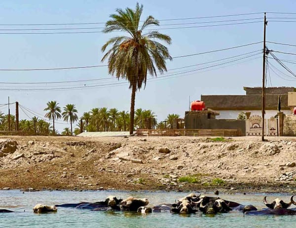 Babylon - the River Euphrates