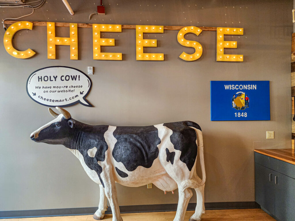 Fake cow under a cheese sign - Cheese Curd Showdown - The Battle for the Best Curds in Madison Wi.