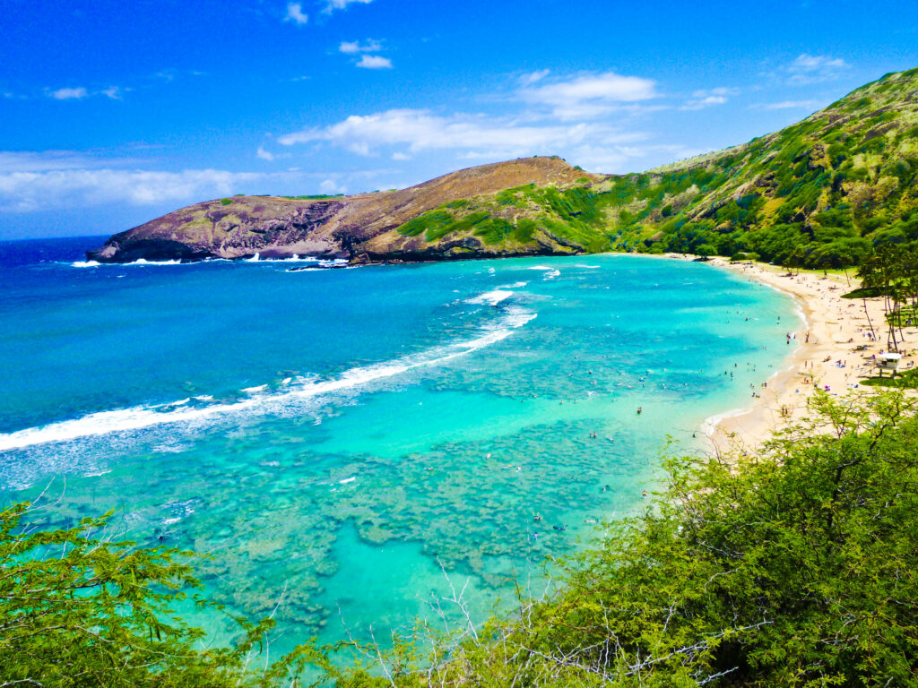 Hawaiian Beach 