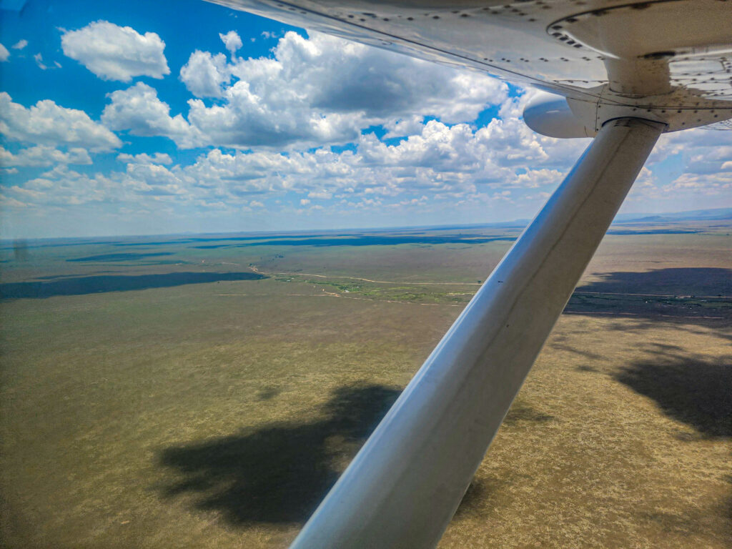 Fly-in Safari Tanzania Africa