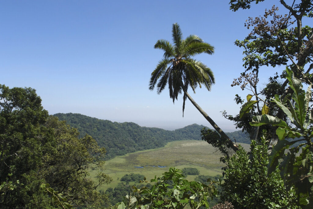 Arusha National Park in Africa