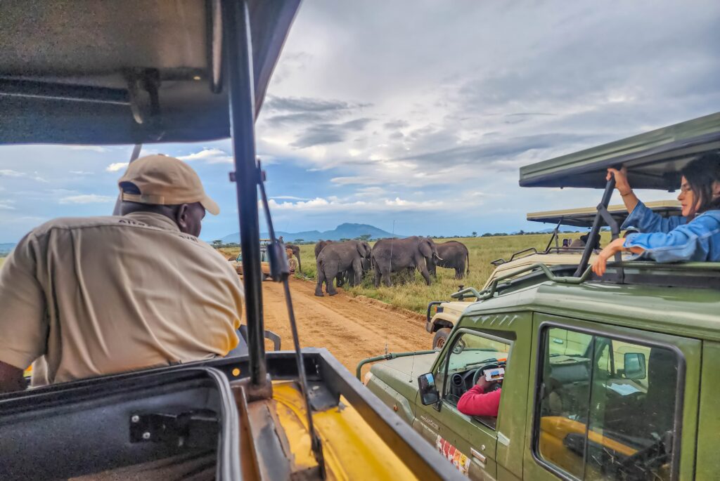 Jeeps and elephants Serengeti National Park Tanzania Africa