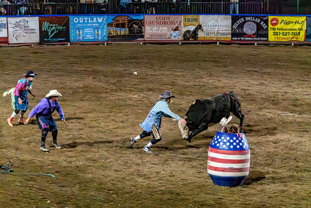 Rodeo clowns and bull