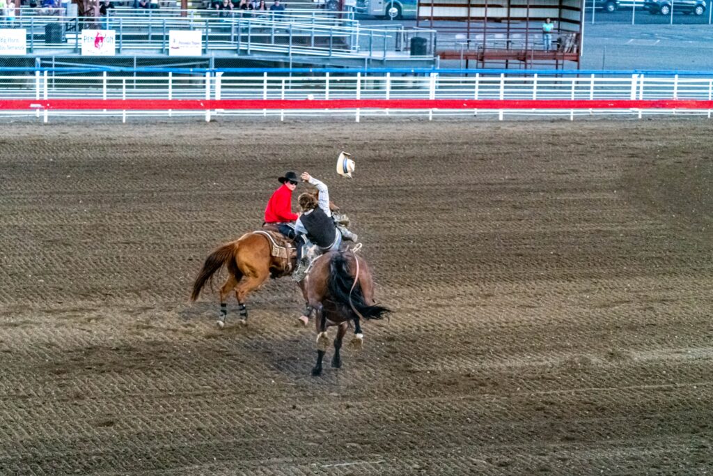 Bucking bronco