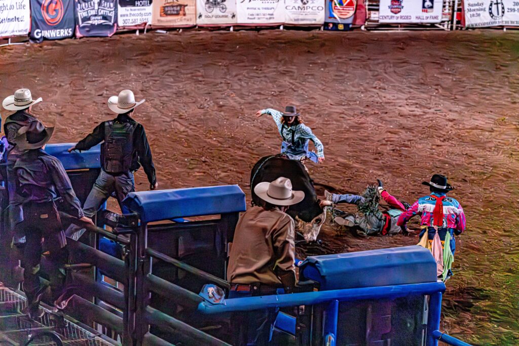 Bull rider falling