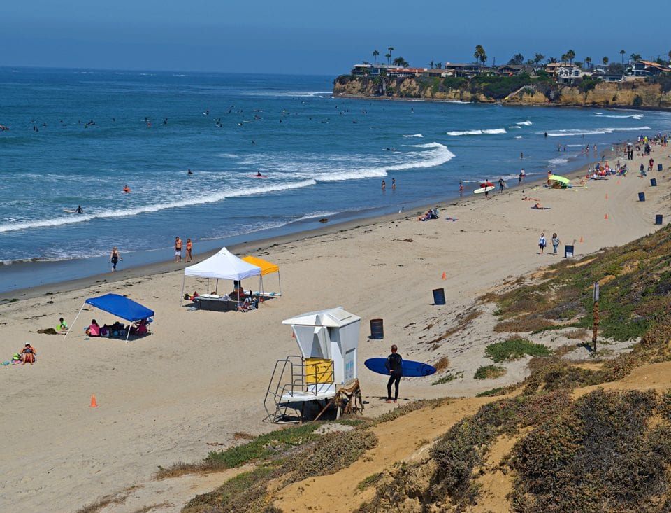 Surfer approaching Law street Beach