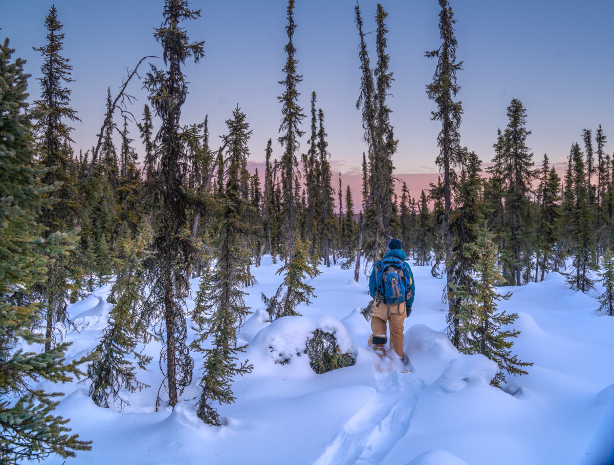 Fairbanks snoeshoeing