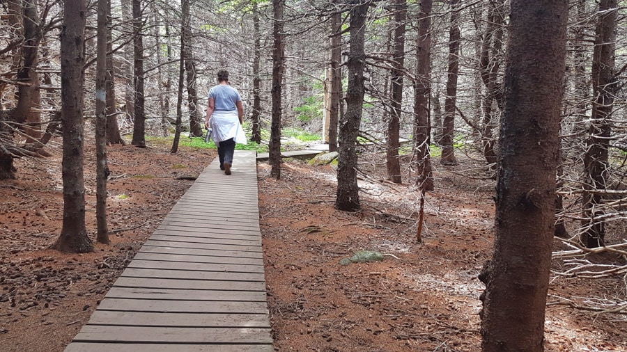 middle head hike cape breton island