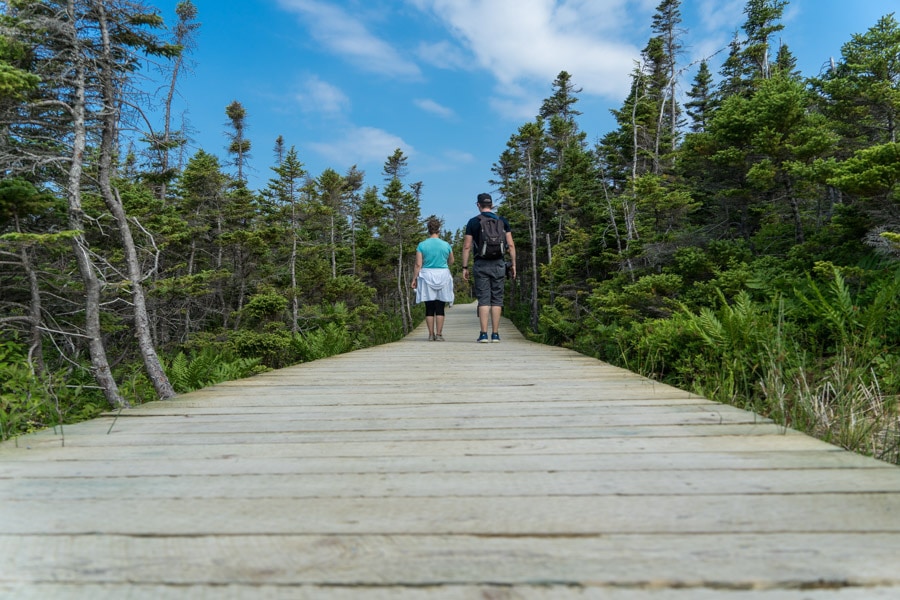 skyline hiking cape breton island