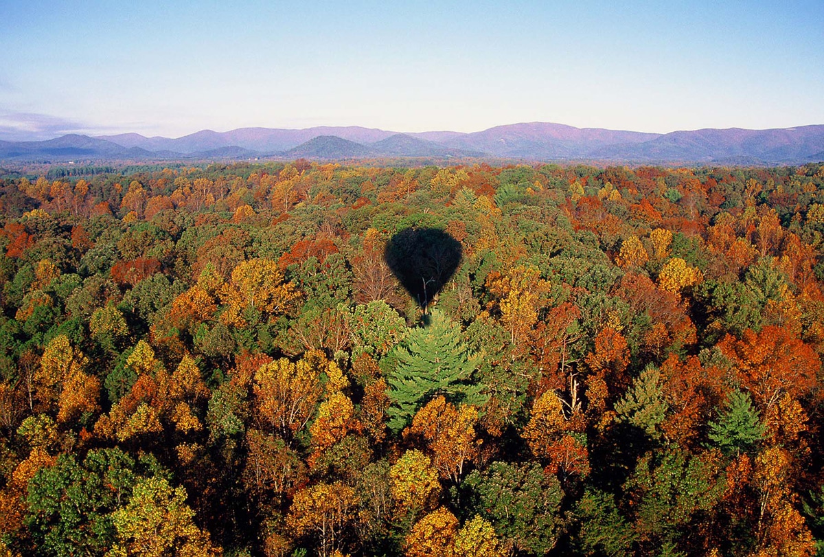 Hot air balloon ride while spending 2 days in Charlottesville.