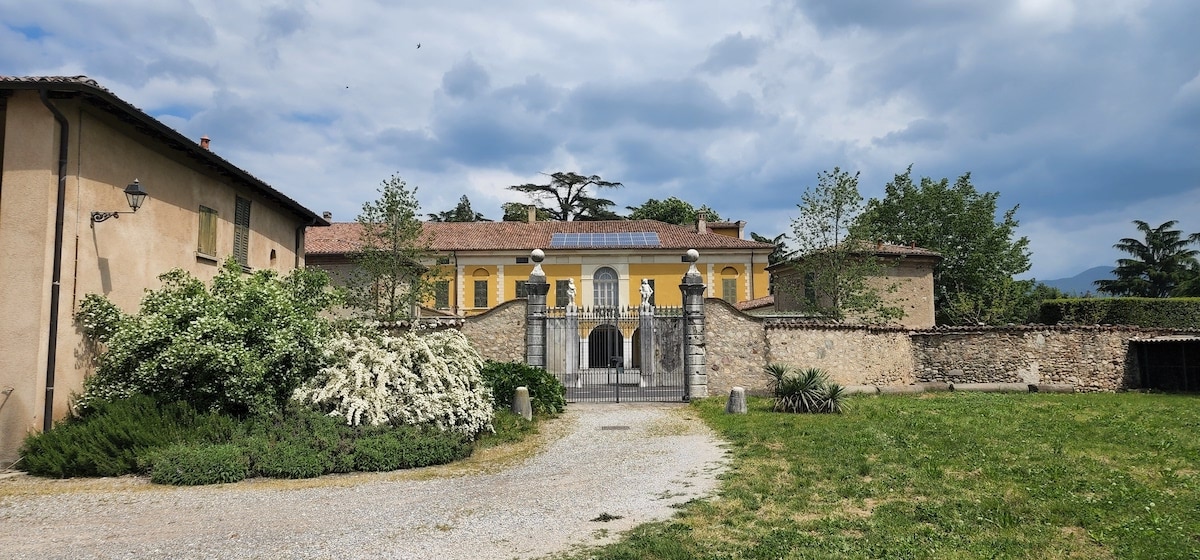 vineyards of Mosnel