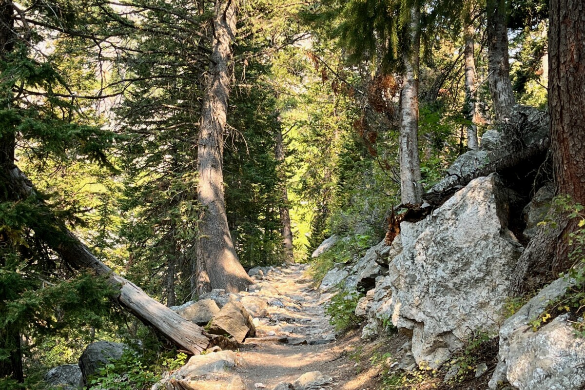 Lesser-known hikes in Jackson Hole hiking trail
